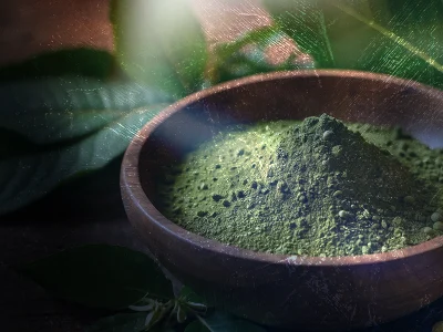 Kratom 101