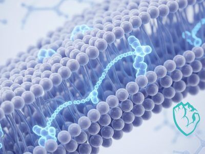 Peptides-for-Healing